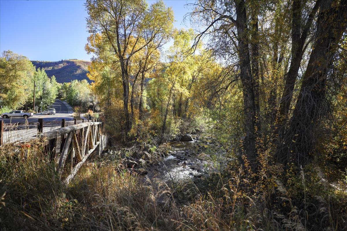 Apartment Modern Condo, 1 Block To Gondola - Ideal Vacation Location Aspen