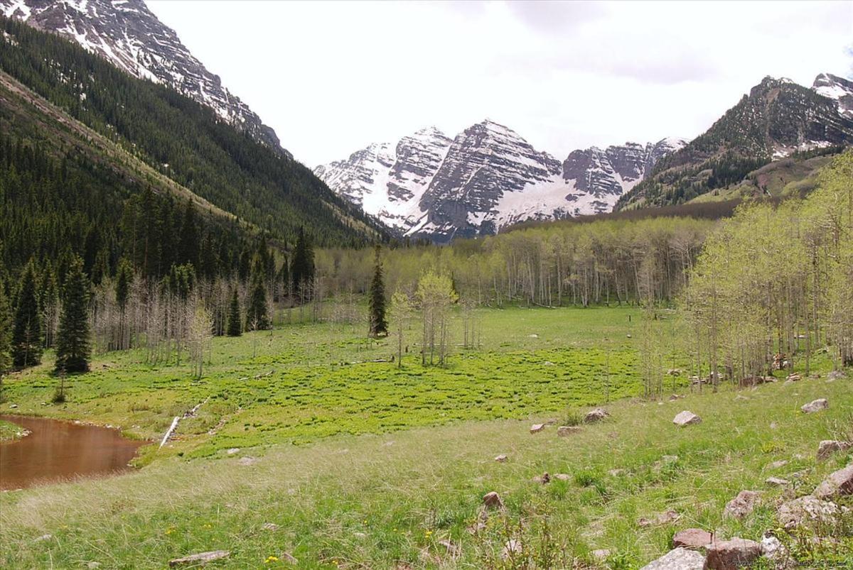 Apartment Modern Condo, 1 Block To Gondola - Ideal Vacation Location Aspen